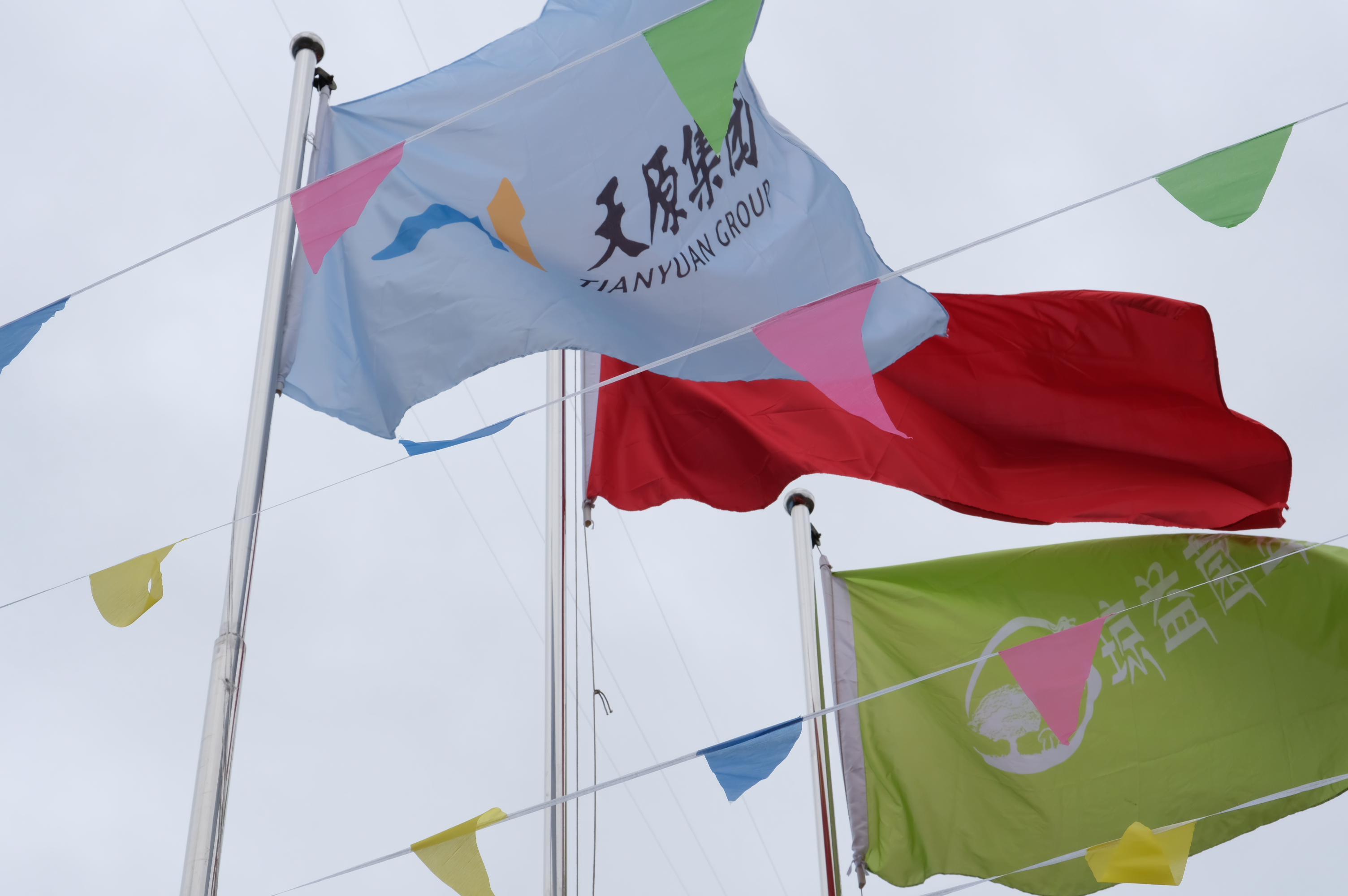 首页- 腾博会集团有限公司官方网站