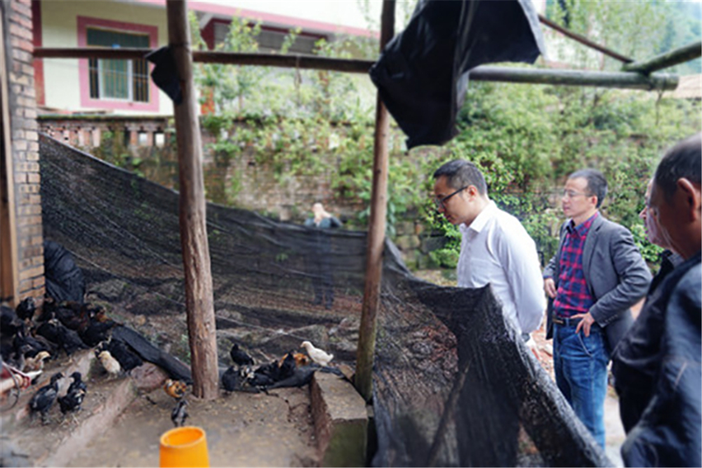 首页- 腾博会集团有限公司官方网站