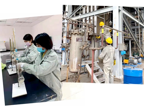 首页- 腾博会集团有限公司官方网站